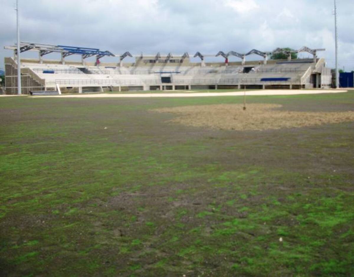 Con estas fotos el arquitecto Luis Zabala demuestra los problemas de la grama sembrada en el diamante de béisbol de Lorica. EL UNIVERSAL MONTERÍA