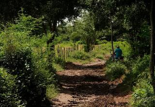 Devuelven tierras a 49 familias campesinas desplazadas por paramilitares