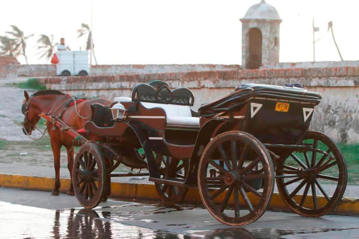 Proyecto de ley busca que vehículos eléctricos presten servicio de turismo