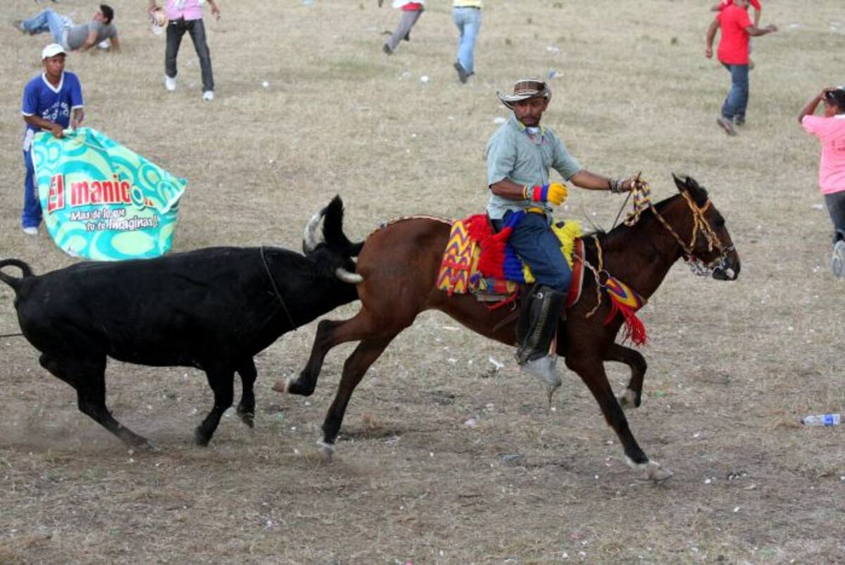 Varios ejemplares equinos resultaron heridos, entre estos, el del banderillero a caballo, Rafael Peñate. MANUEL SANTIAGO PÉREZ - EL UNIVERSAL -