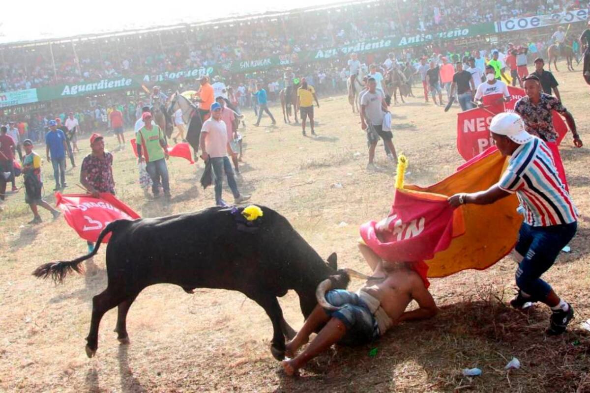 Hunden proyecto que quería prohibir corralejas y peleas de gallos