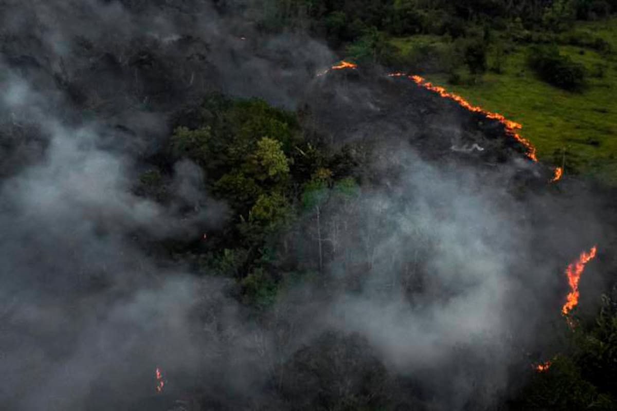 Declaran emergencia ambiental por arrasadores incendios en el Amazonas