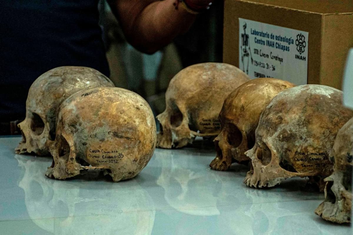Descubren 150 cráneos de un posible altar maya en el sur de México