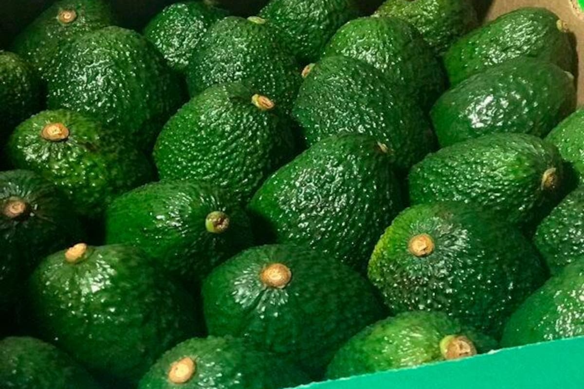 El aguacate Hass colombiano será otra vez protagonista del Súper Bowl
