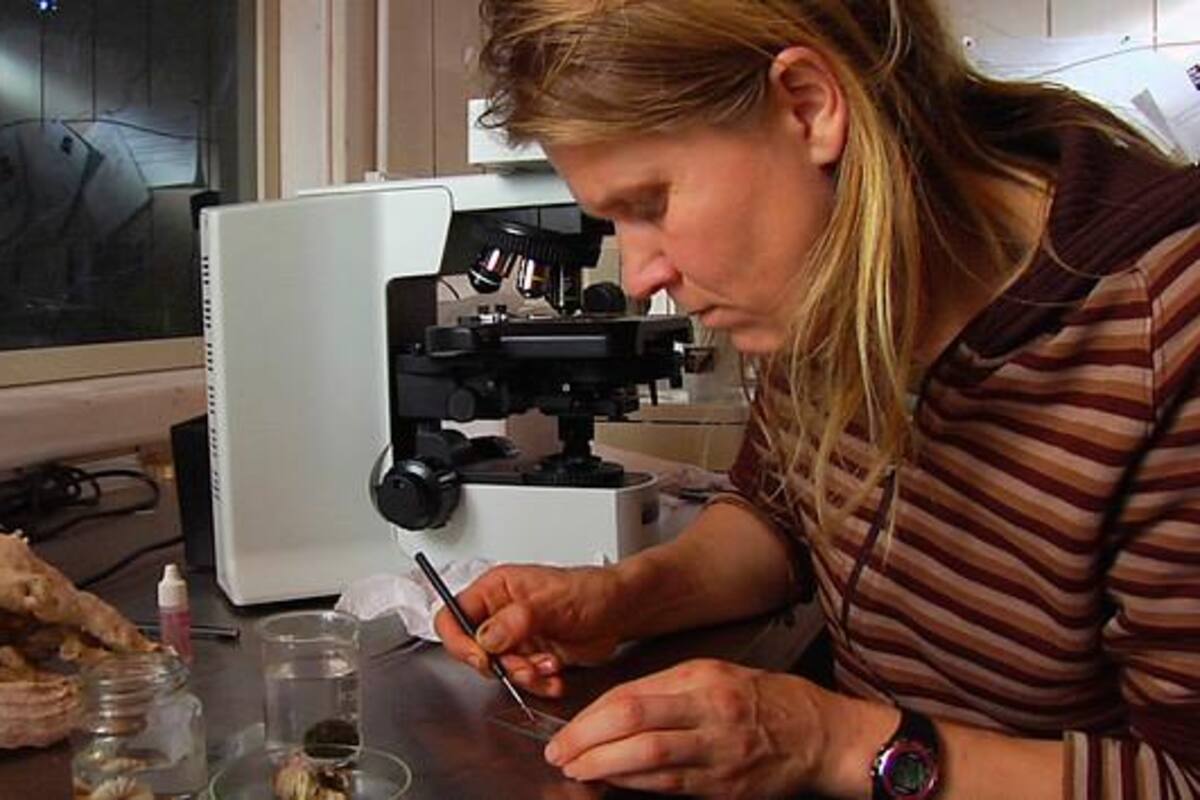 Minciencias abre convocatoria de becas ‘Para las Mujeres en la Ciencia’