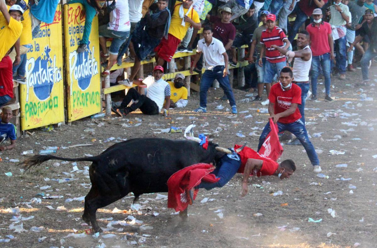 Luchito, natural del municipio de Mompox (Bolívar), es enganchado por el astado, afortunadamente sin consecuencias. // Manuel Santiago Pérez.