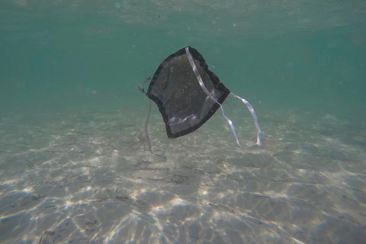 Gobiernos prometen proteger la naturaleza a la espera de un plan concreto