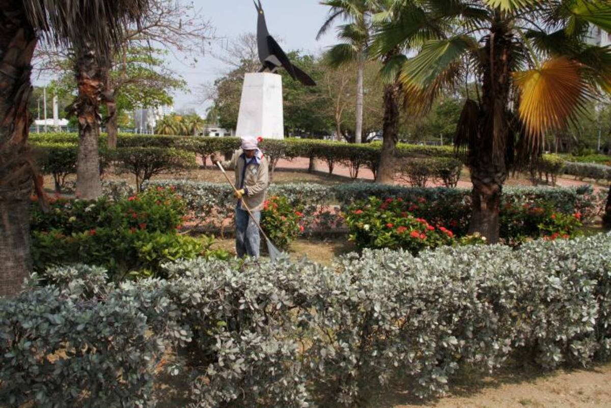 El parque la Maria Mulata en Bocagrande es uno de los pocos bien mantenidos. Fue adoptado por Aguas de Cartagena.