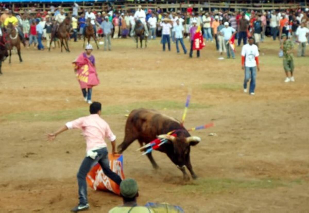 Los sanonofrinos y visitantes disfrutaron las fiestas en corralejas que culminaron ayer.