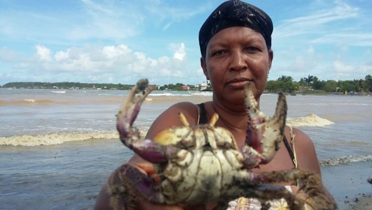 FOTO: JULIO CASTAÑO - EL UNIVERSAL