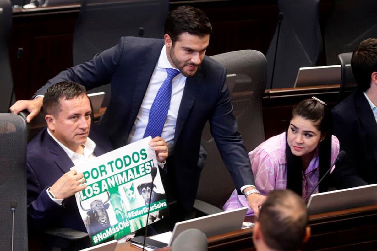 Por tercera vez aplazan en la Cámara el debate sobre la prohibición taurina