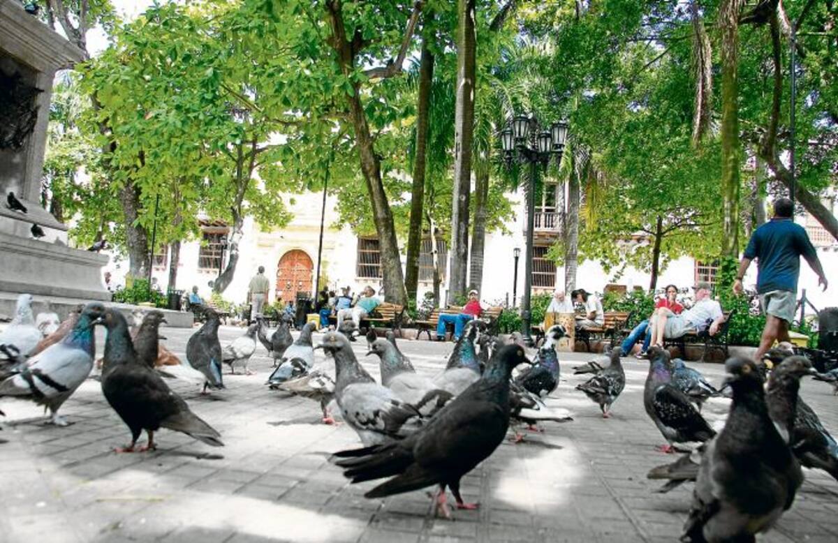 Los parques son el otro mapa secreto e íntimo de la ciudad. FOTOS: LUIS APARICIO