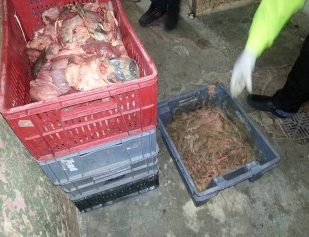 Fábrica de embutidos estaba en malas condiciones higiénicas CORTESÍA