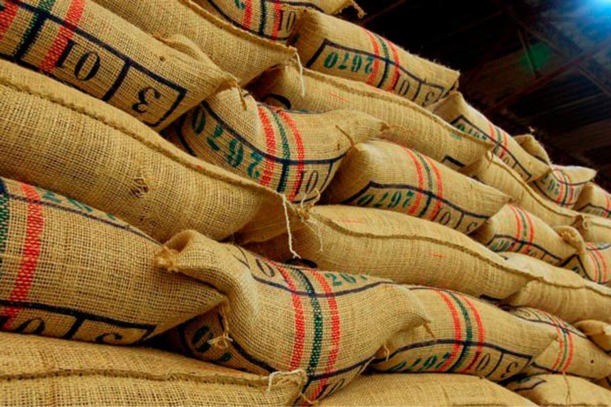 Caen exportaciones de café en contenedores