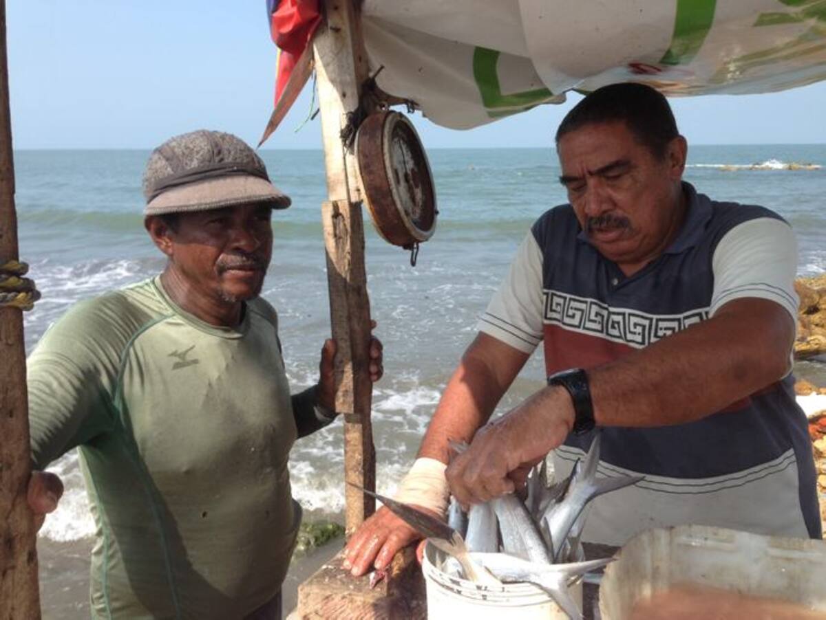 José Julio y Javier Buelvas vendiendo lo pescado.