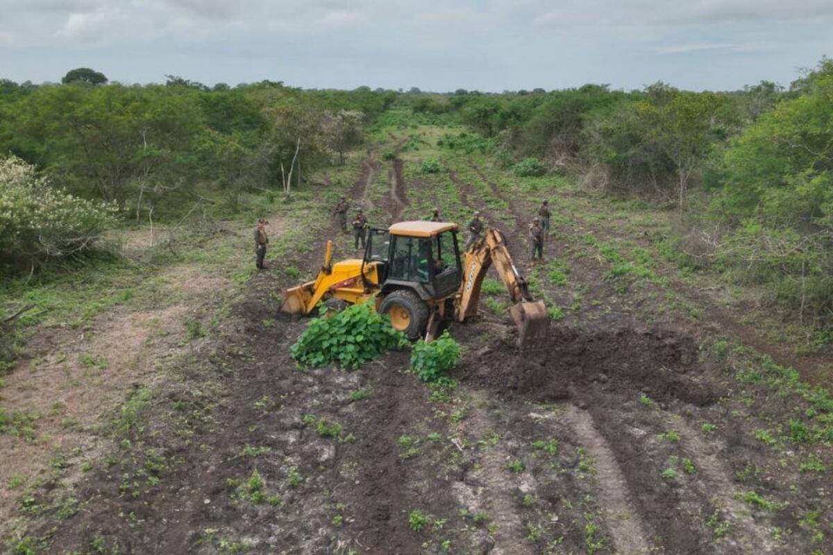 Inhabilitan posible pista clandestina para ‘narcoavionetas’ en Ecuador