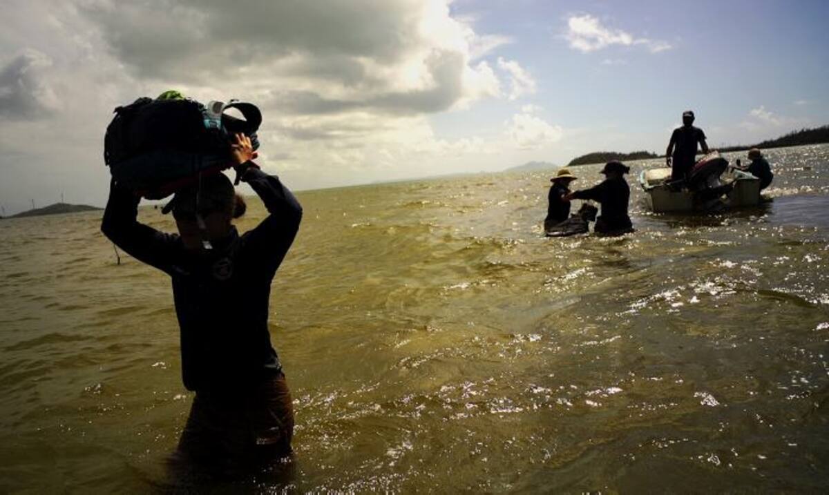Los científicos regresan a tierra desde Cayo Santiago, en Puerto Rico, uno de los sitios más importantes del mundo para la investigación sobre cómo piensan los primates, socializar y evolucionar. AP Ramon Espinosa