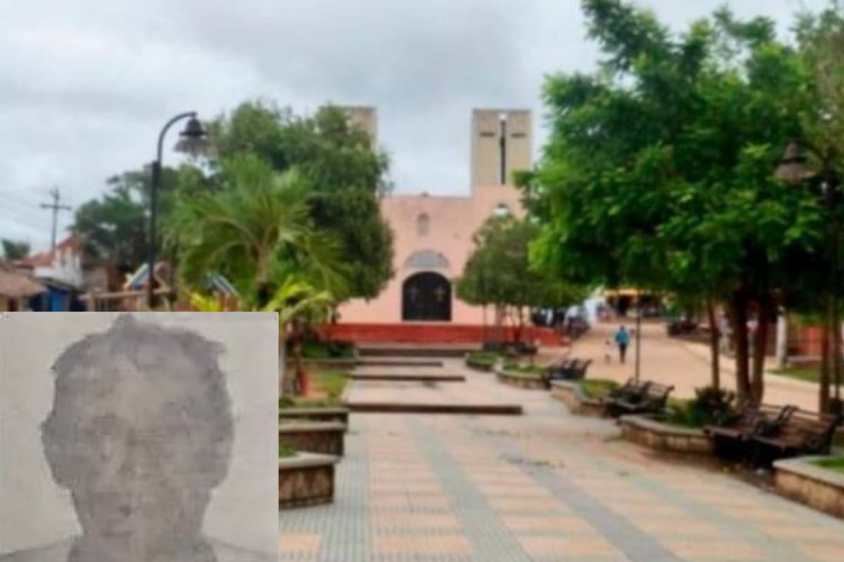¡Qué tragedia! Tenía 79 años y murió tras ser atacado por abejas en finca