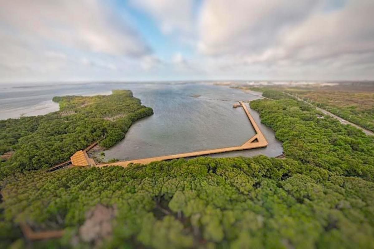Habilitan ruta de Transmetro hasta el Ecoparque Ciénaga de Mallorquín