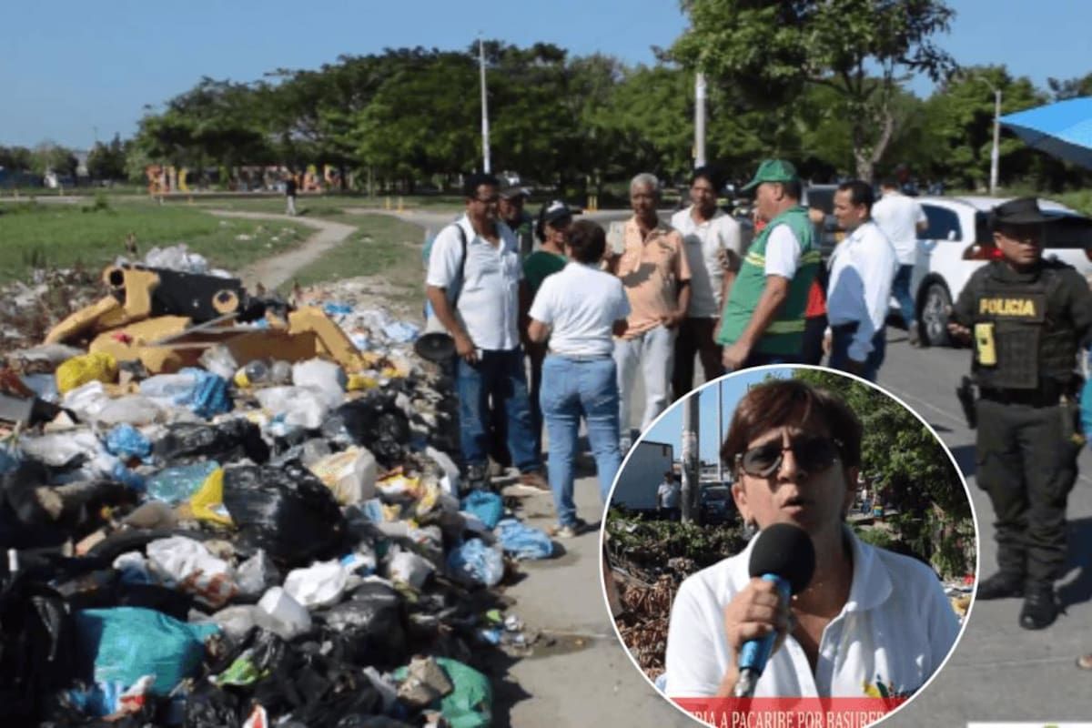 “Cartagena limpia”: llamado enérgico de la Personera a las empresas de aseo