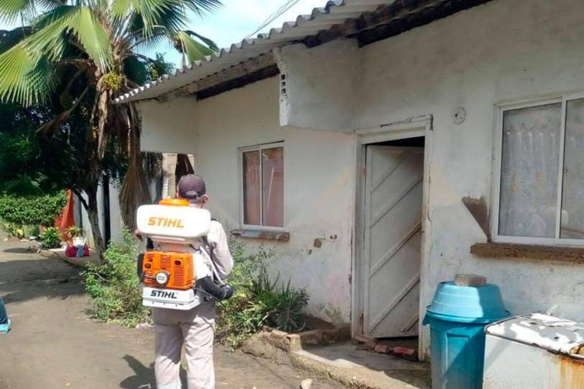 Dengue en Cartagena: nuevos casos y un fallecido en la última semana