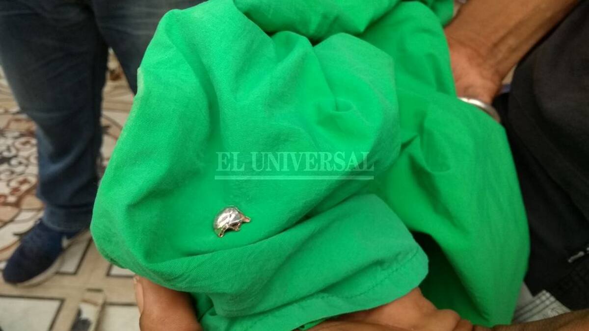 El Universal