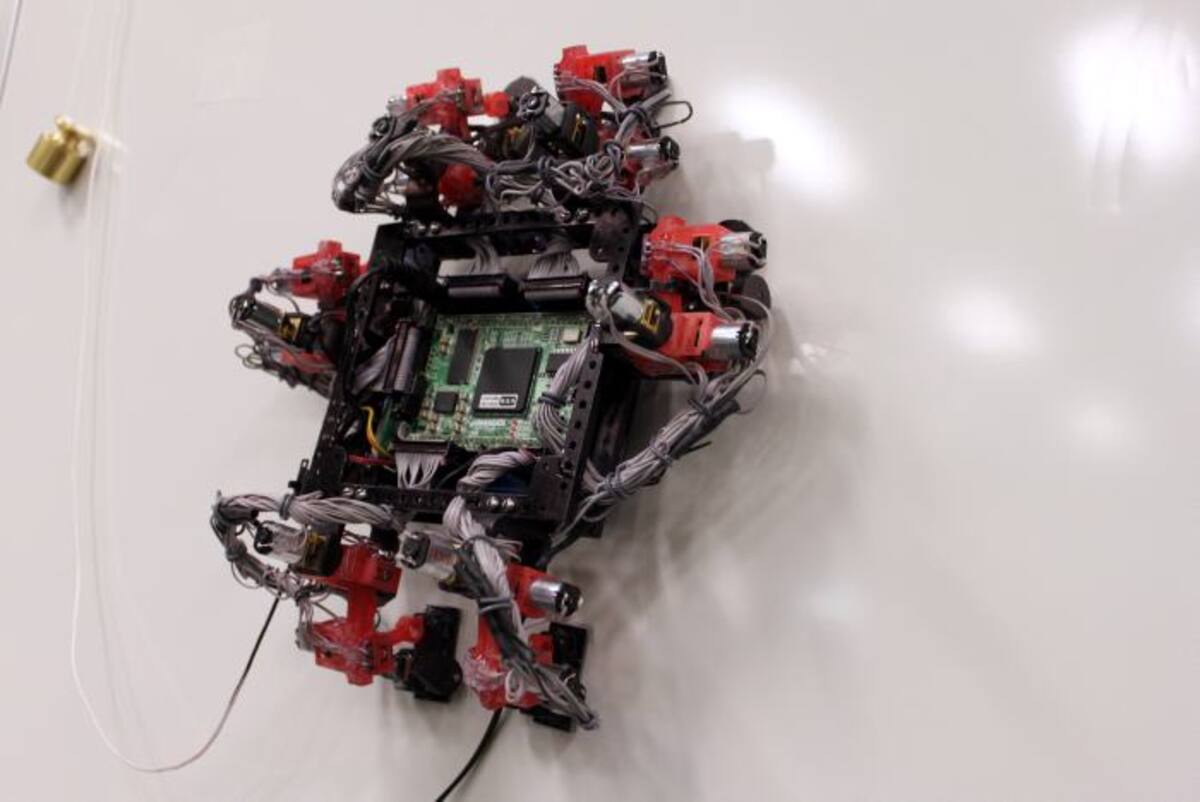 Robot Abigail AFP