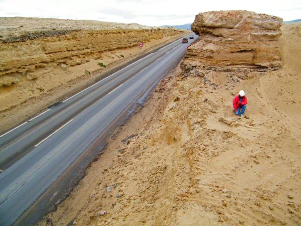El desierto de Atacama es el más árido del mundo. AP Museo Paleontologico de Caldera