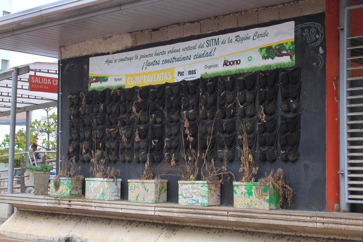 La huerta de la estación de Transcaribe que se murió hace meses