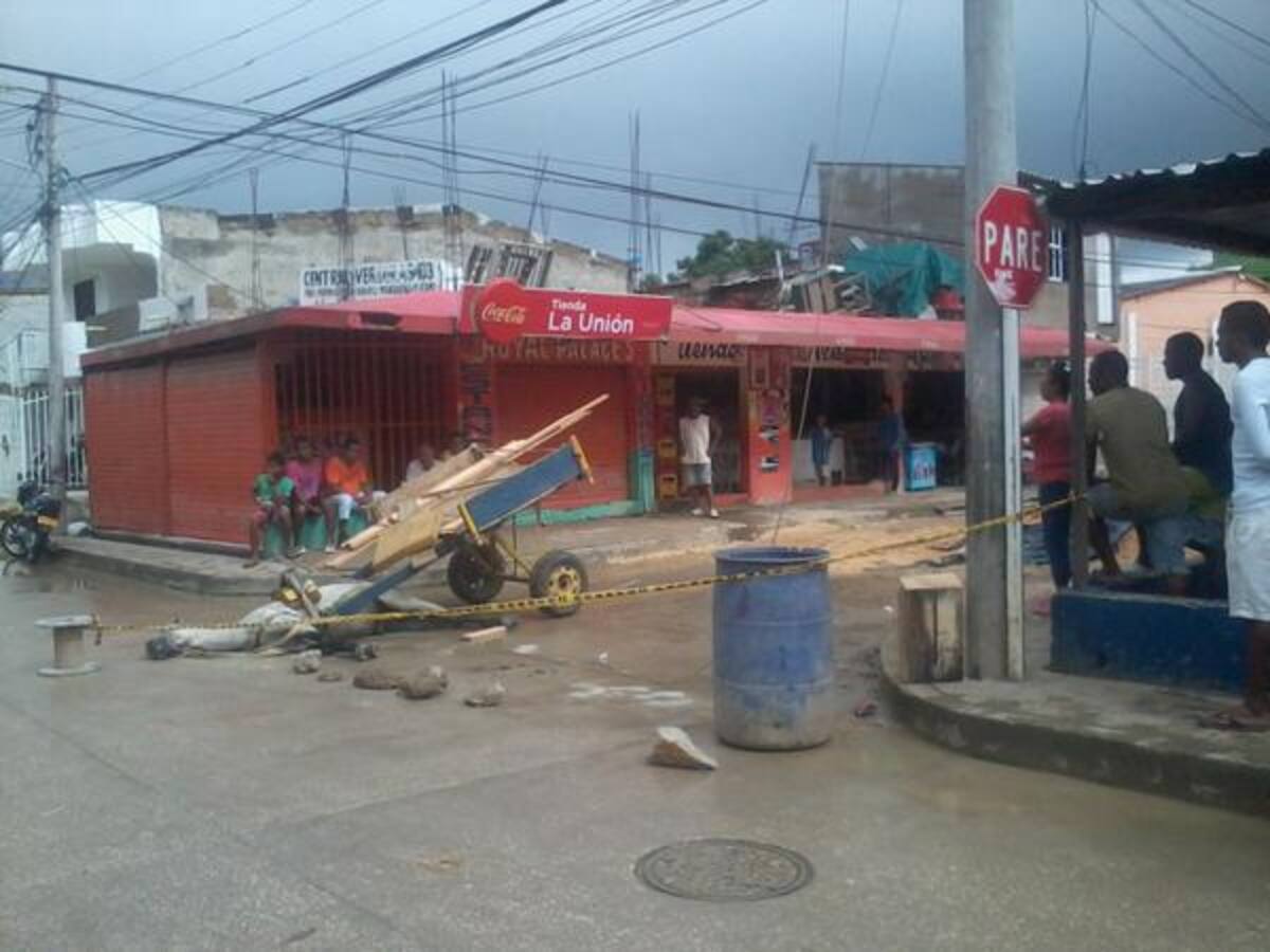 El caballo quedó tendido en el pavimento luego de entrar en contacto con el cable. Cortesía @ENERJEI