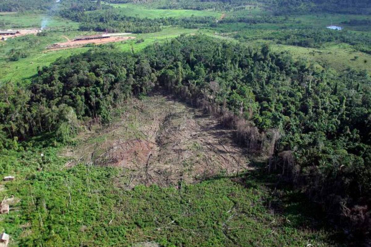 Indígenas del Amazonas afrontan Día Mundial del Agua “sin nada que celebrar”