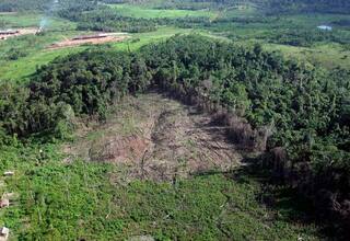 Indígenas del Amazonas afrontan Día Mundial del Agua “sin nada que celebrar”