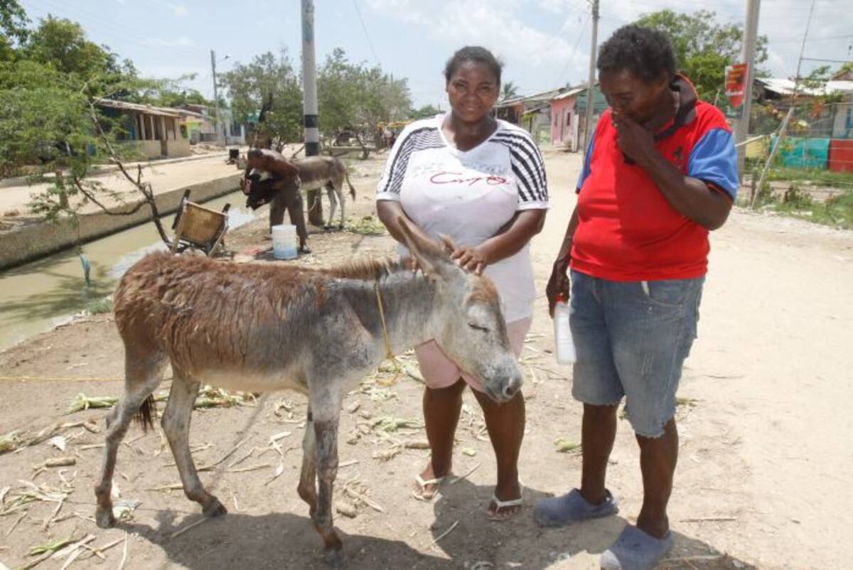 La familia Almeida Bibanco vive en la calle San MArtín de Bostón. Claudia Fortich - El Universal