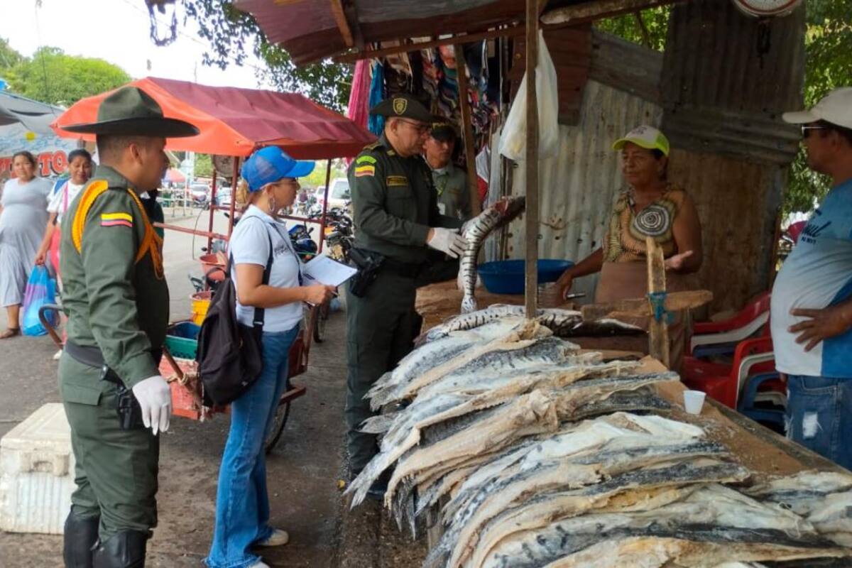 Semana Santa: tenga cuidado con el pescado que compra y consume