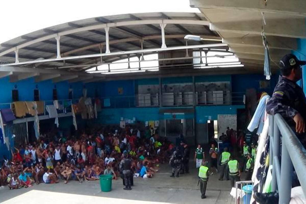 Más de 100 gatos y 20 perros son las ‘mascotas’ de los reclusos de la Cárcel de Ternera