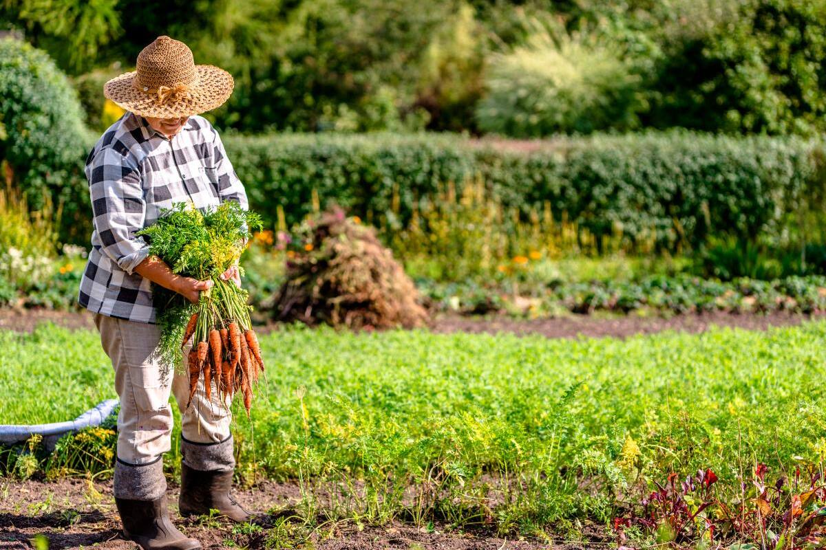 La mujer en la agricultura y la alimentación del mundo