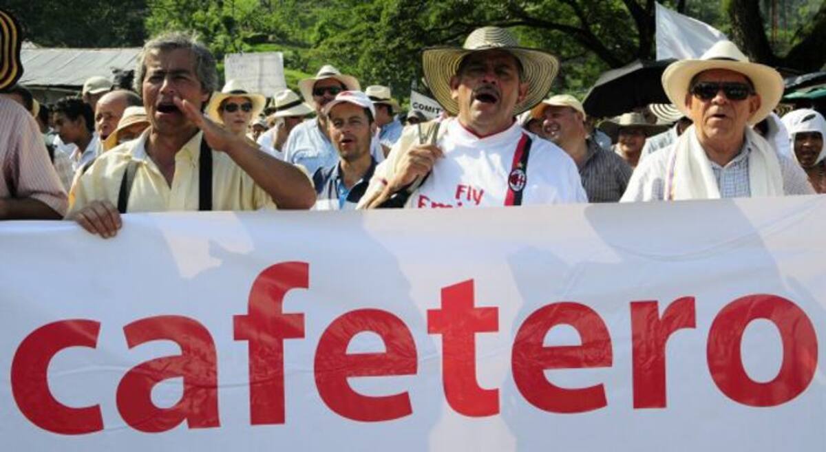 Voceros del sector agrícola aseguraron que la condición par no mivilizarse es que el Gobierno se siente a dialogar con líderes paperos, maiceros, cafeteros, cebolleros, paneleros, arroceros, lecheros, aguacateros y cacaoteros. COLPRENSA