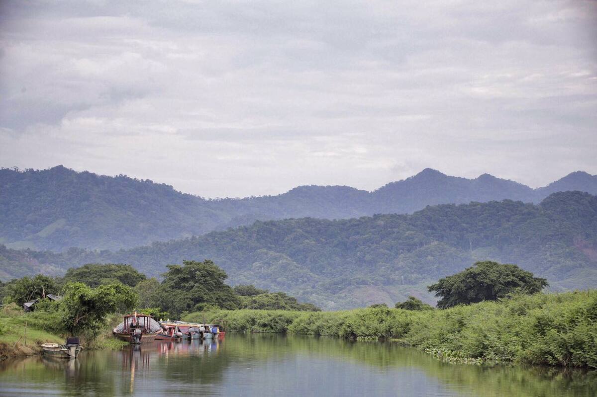 El marco de la Ciénaga de Montecristo enmarcó la llegada de varios funcionarios, que a pesar de estar 4 horas en lancha, partiendo desde Magangué, quedaron atónitos con la belleza hídrica, de fauna y de flora que posee el municipio, ubicado al sur de Bolívar. Cortesia