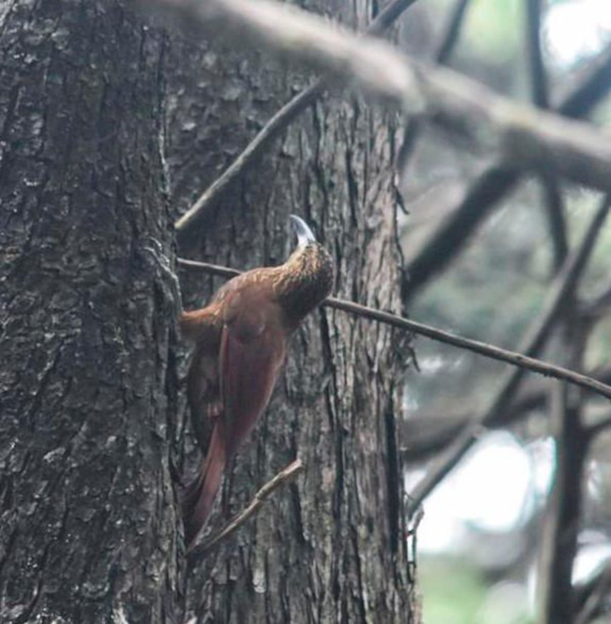 //Foto Cortesía MINCIT.