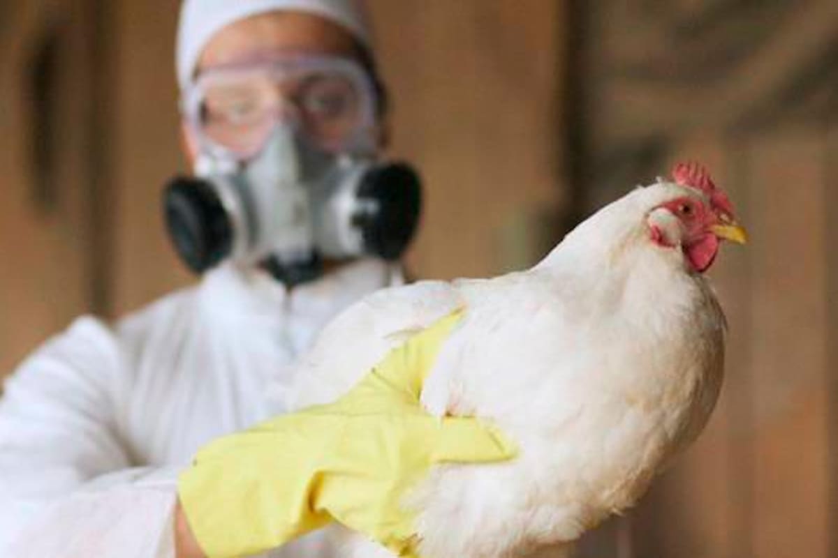 Costa Rica pone alerta sobre dos casos de Influenza A en humanos