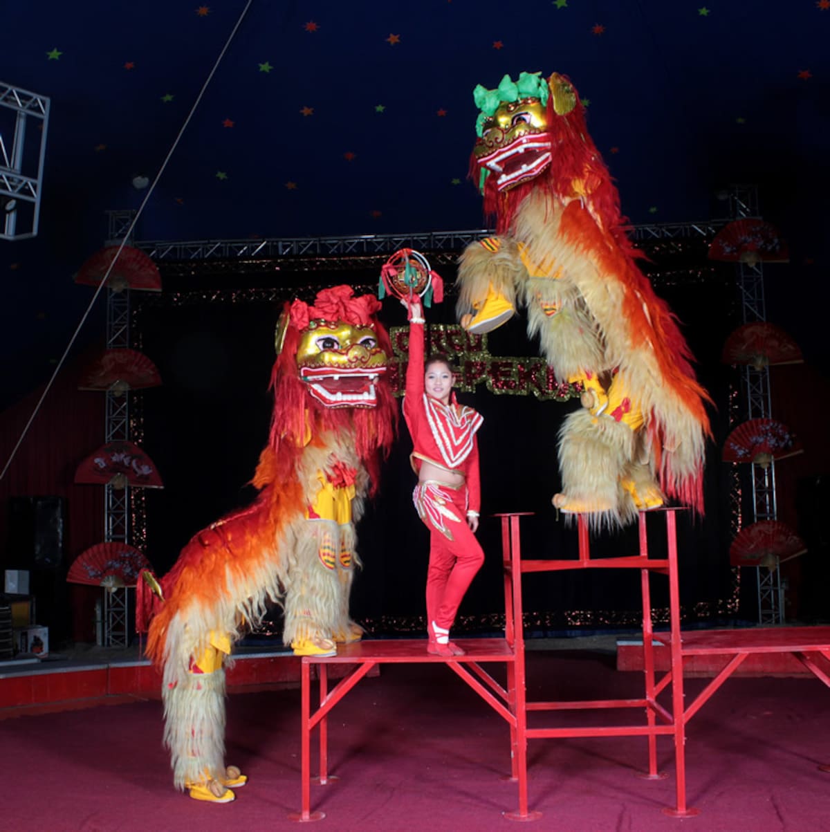 Espectáculo de leones danzantes del Circo Chino de Pekín, que abrió sus puertas por primera vez en Cartagena. CORTESÍA