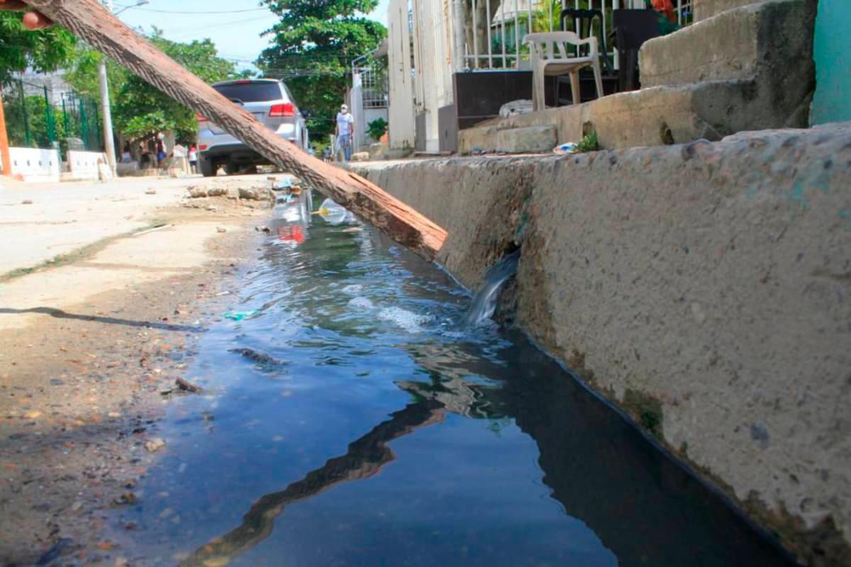 Las variantes más letales del Dengue ya circulan en Cartagena