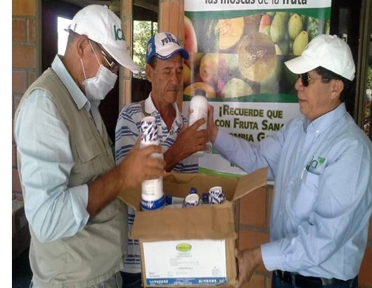 Iván Sierra Martínez, director del ICA en el departamento de Sucre, entrega los insumos.