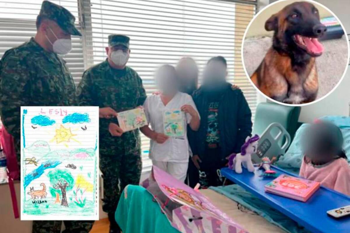 Los dibujos de las niñas en honor al perro Wilson