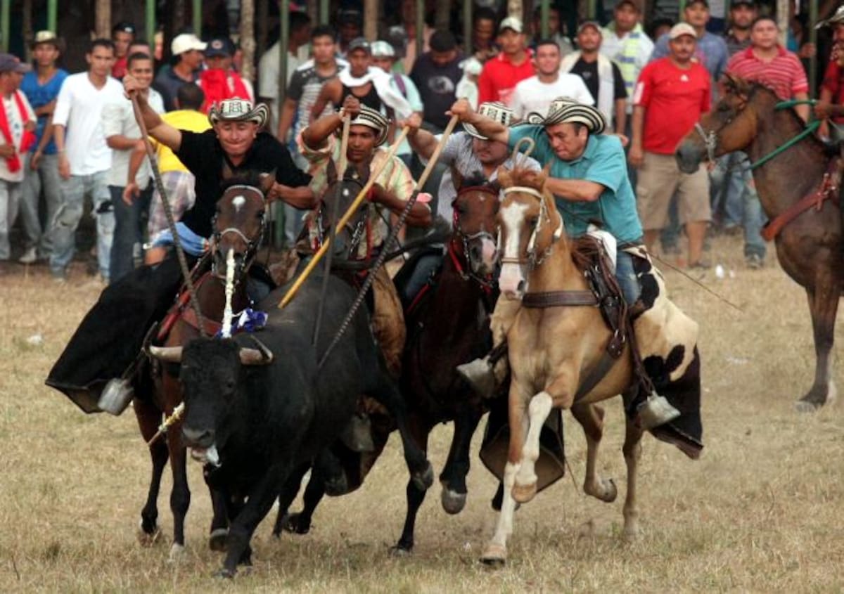 Los garrocheros en su faena, castigan al toro. MANUEL SANTIAGO PÉREZ - EL UNIVERSAL -