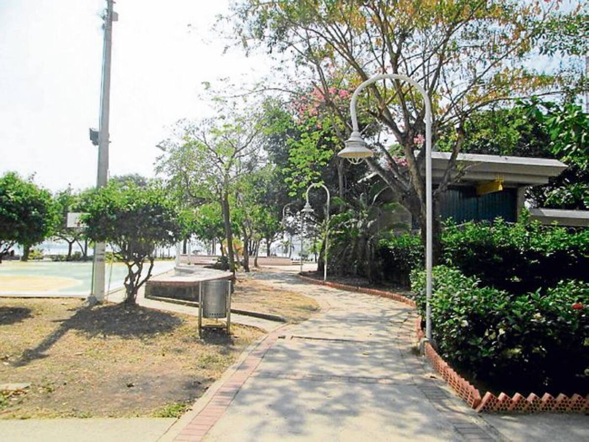 Los olores nauseabundos levitan permanentemente en este pasaje peatonal del Parque Coral Gables.