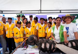 Siguen las acciones para reducir los elevados casos de dengue en Bolívar