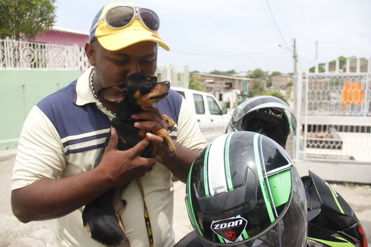 Edilberto Ariza, el mototaxista que fue pieza clave en la búsqueda del animal. LUIS C. PRADO - EL UNIVERSAL