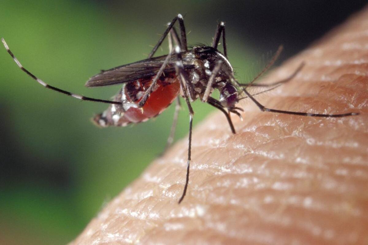 Secretaría de Salud del Atlántico realiza plan de choque contra el dengue