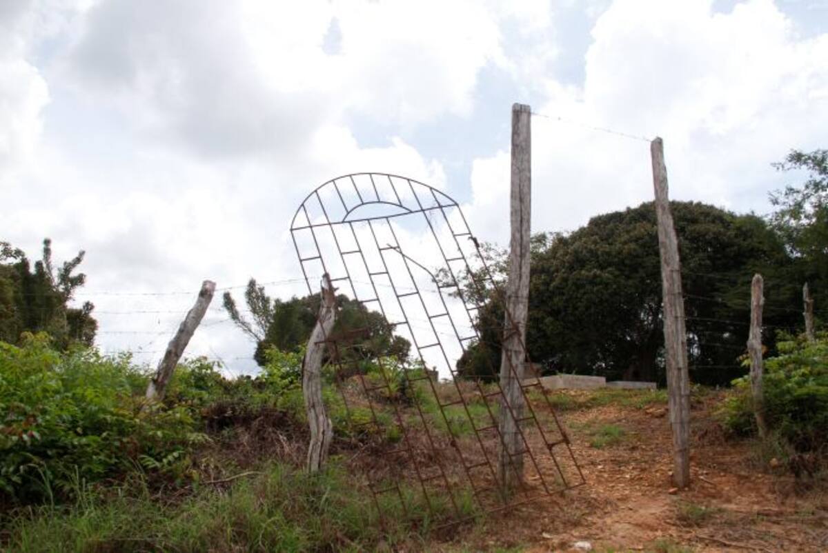 Las tumbas del cementerio están expuestas, pues este no tiene cerramiento. zenia Valdelamar-El Universal